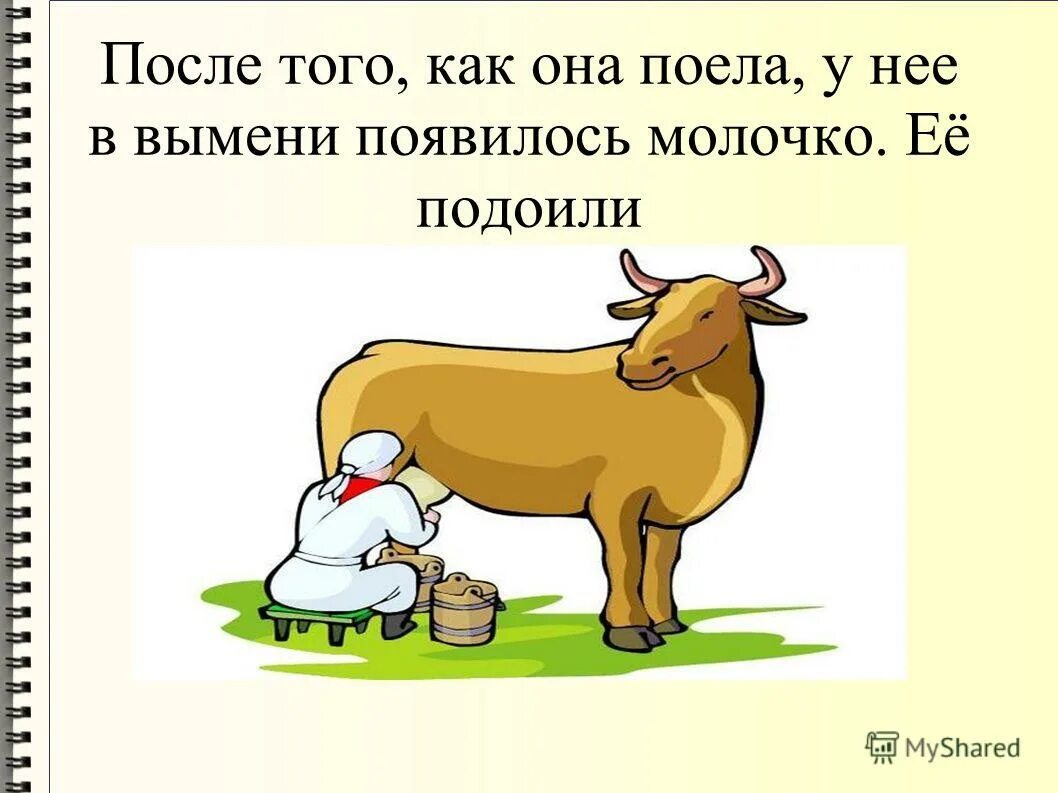 Схема откуда пришло молоко для дошкольников. Откуда берут молоко. Где образуется молоко у коров. Что делают из молока для детей. Корова молоко.