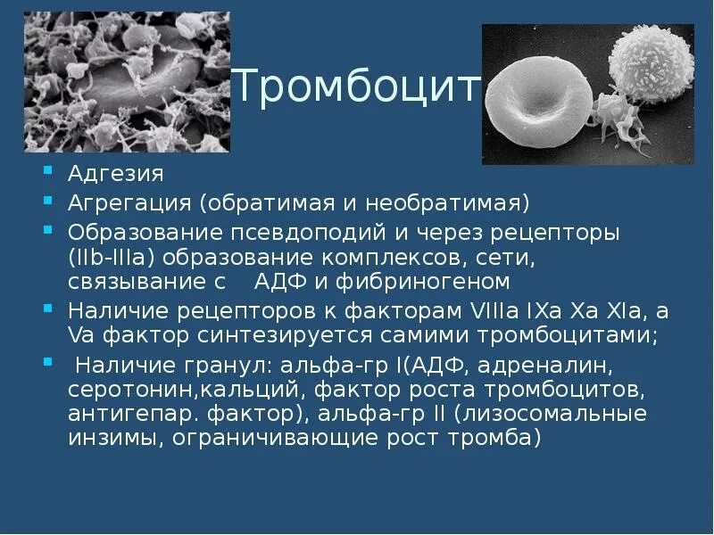 Адф тромбоцитов. Обратимая и необратимая агрегация тромбоцитов. адгезия и агрегация тромбоцитов. рецепторы тромбоцитов. рецепторы мембраны тромбоцитов.