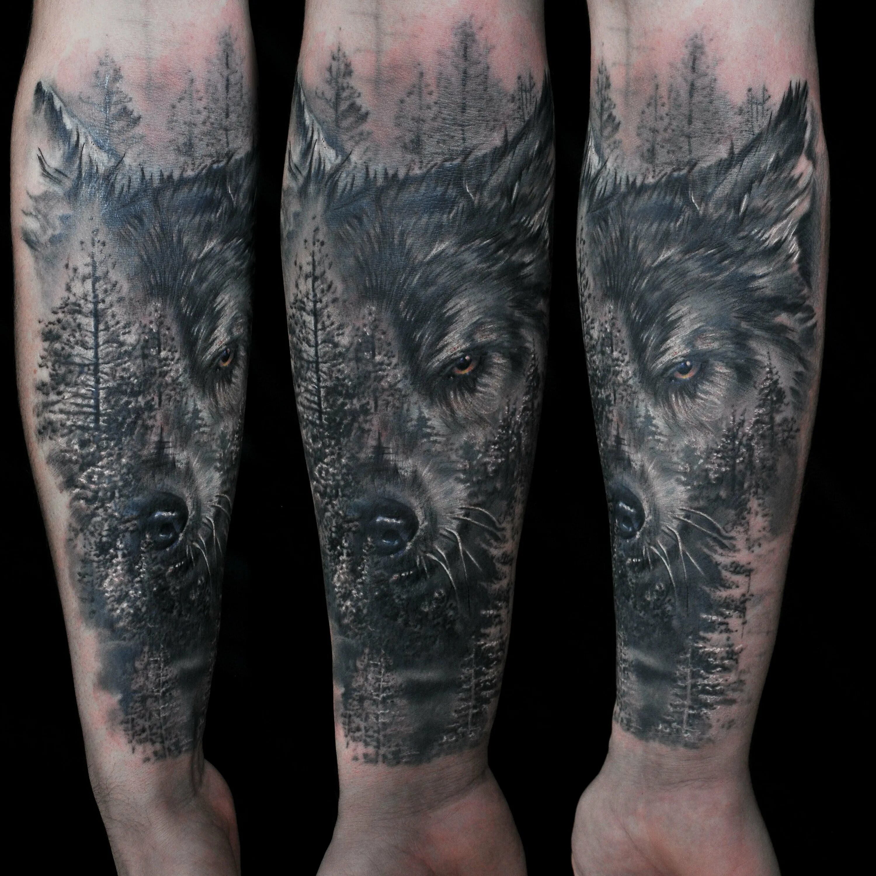 Волк с лесом тату. Тату волк в лесу. Тату рукав волк. Волк с лесом тату. Тата волк в лесу.