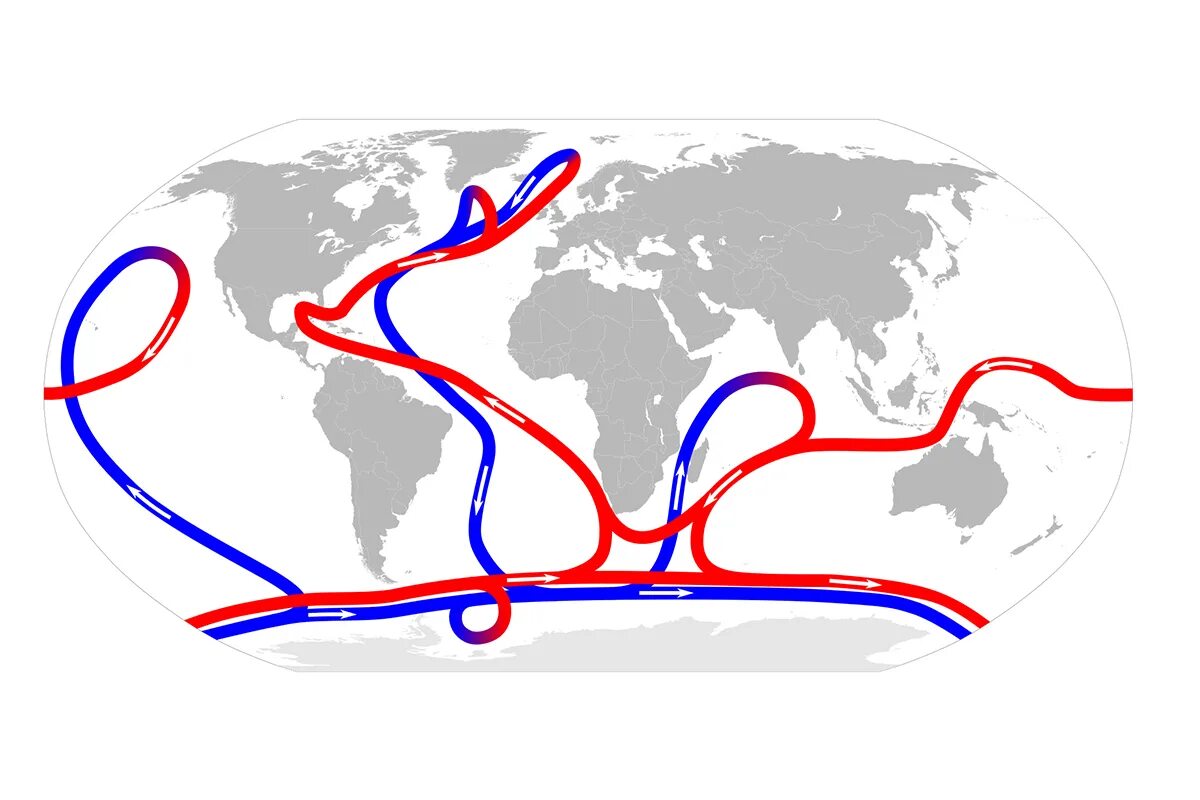 Термохалинная циркуляция. Схема циркуляции вод мирового океана. Глобальная термохалинная циркуляция. Глобальная циркуляция океана.