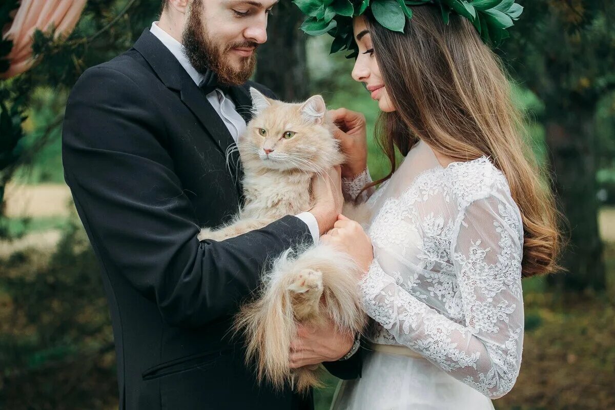 Свадебная фотосессия с котом. Кот на свадьбе. Кошка невеста. Коты в свадебных нарядах.