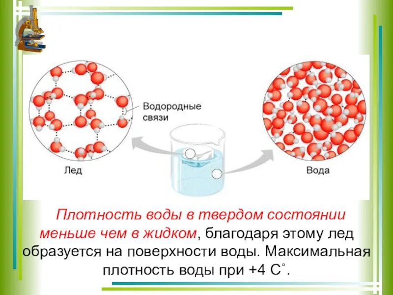 Почему вода твердая. Плотность жидкостей. Плотность воды. Плотность льда меньше плотности воды. Плотность в твердом состоянии.