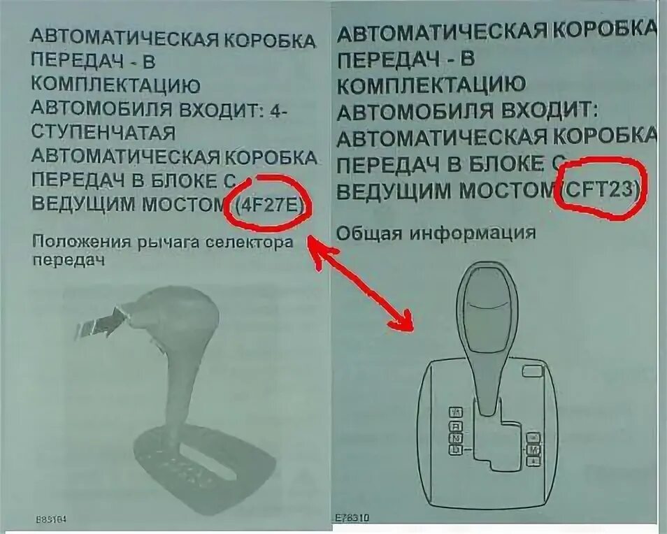 Где написано кпп