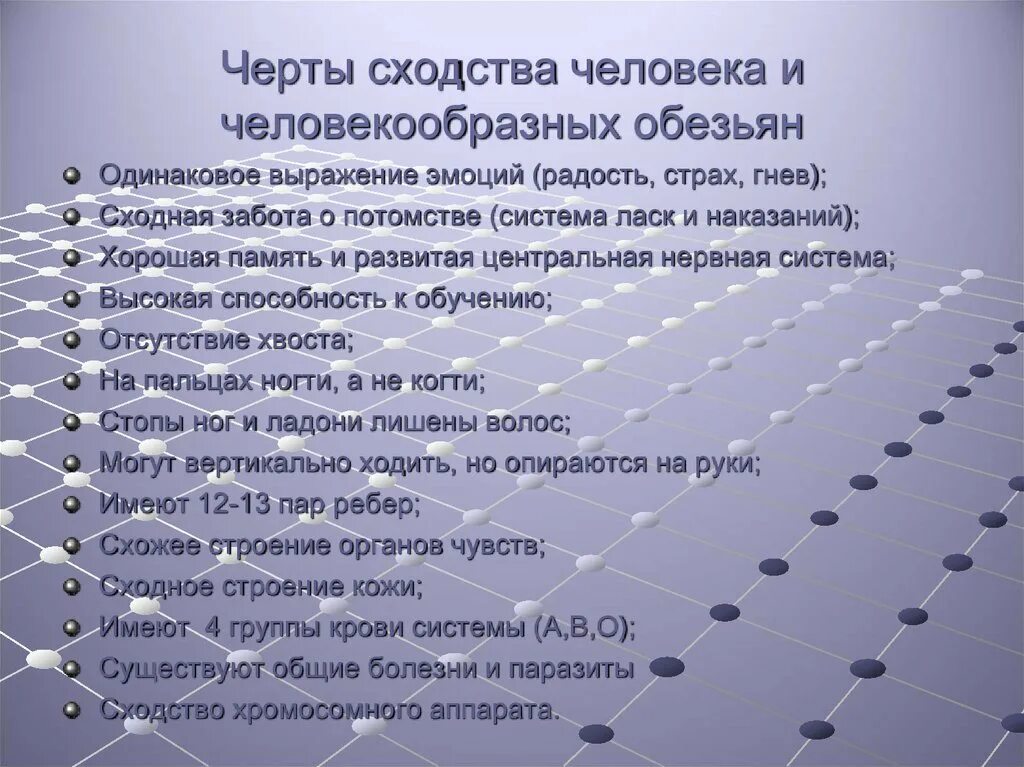 Какой признак в отличие от человекообразных обезьян. Сходство человека и человекообразных обезьян. черты сходства человека и человекообразных обезьян. сходства и различия человека и обезьяны. черты сходства человека и человекообразных обе.