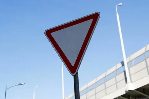Знаков последние новости