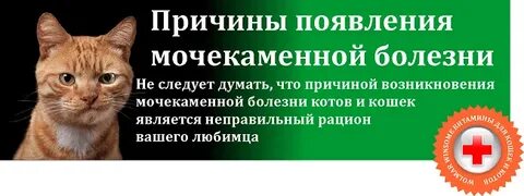 Операция коту при мочекаменной болезни