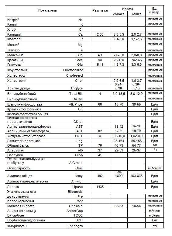Показатели биохимии крови расшифровка у взрослых. Биохимический расшифровка биохимический анализ крови. Расшифровка анализов биохимический анализ крови. Расшифровка анализа крови биохимический у взрослых таблица. Биохимия показатели расшифровка