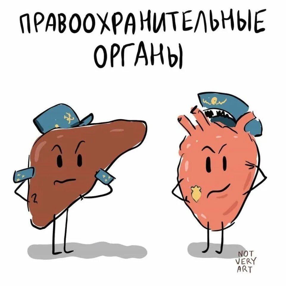 Дословно фразеологизм. Фразеологизмы смешные картинки. веселые фразеологизмы. фразеологизмы буквально. фразеологизмы в прямом смысле.