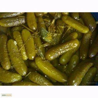 Соленые огурцы оптом