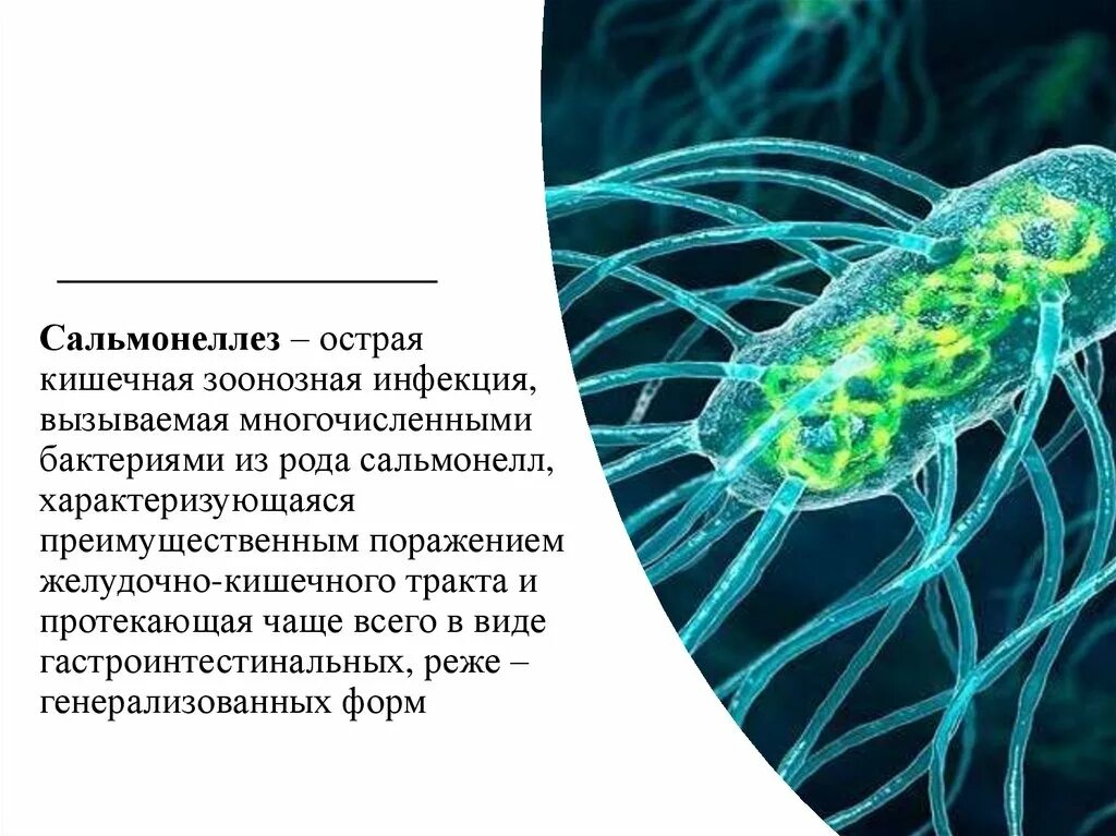 Сальмонеллез бактерия возбудитель. Кишечная инфекция сальмонелла. Болезнетворные бактерии сальмонелла. Возбудители бактериальных кишечных инфекций сальмонеллы. 5 сальмонеллез