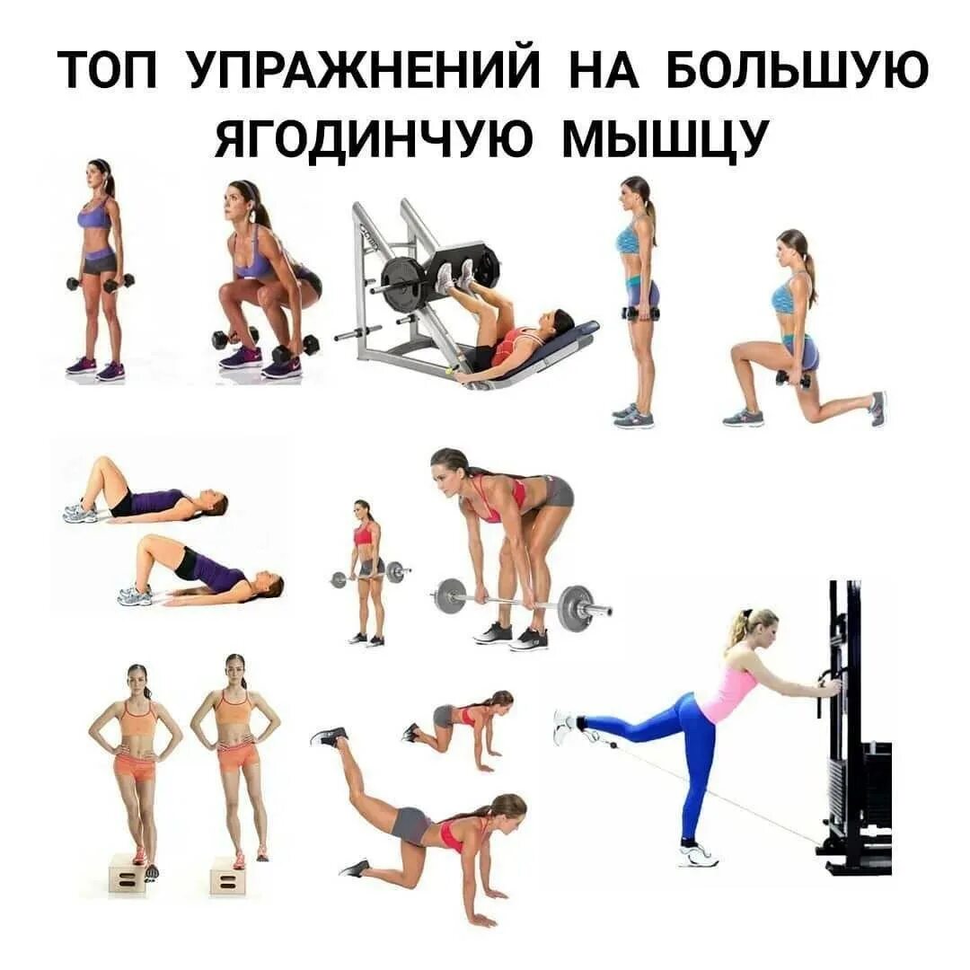 Программа тренировки на ягодицы в тренажерном зале. Упражнения в спортзале. комплекс упражнений для ягодиц в тренажерном зале. упражнения на попу в зале для девушек. тренировка в зале для девушек на ягодицы.