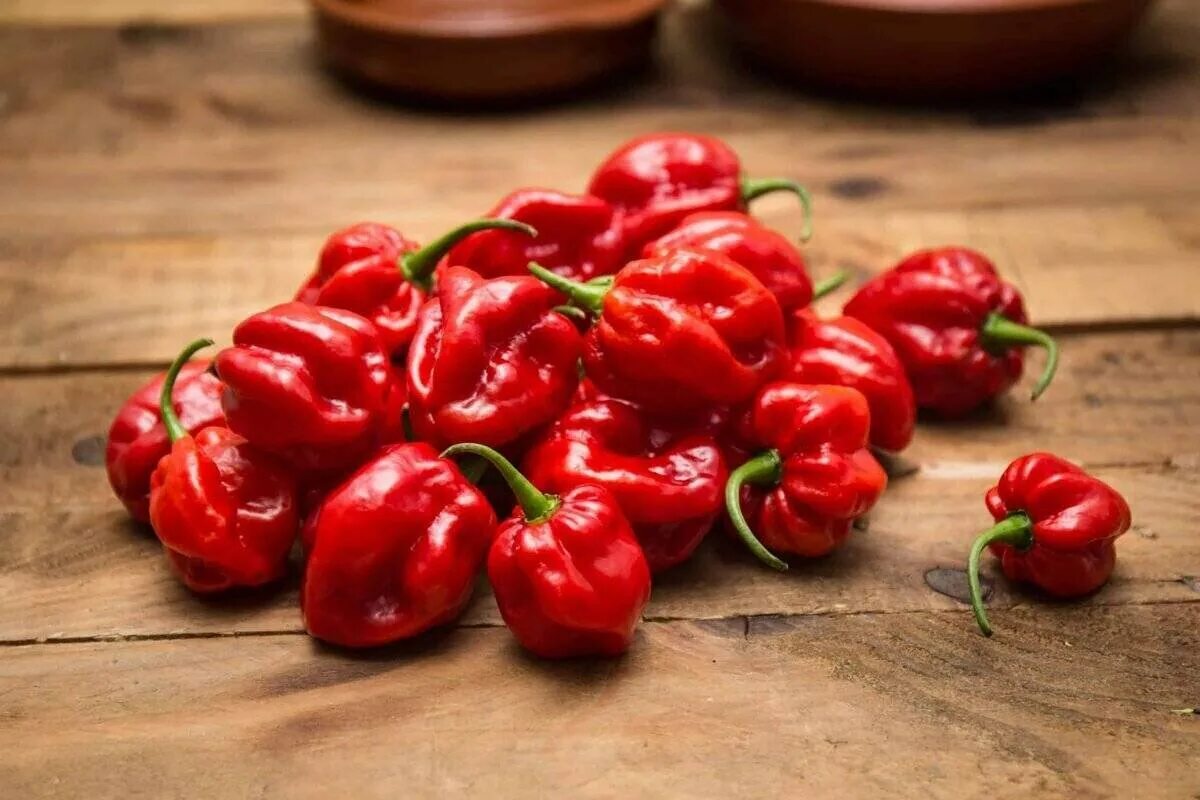 Перец горький хабанеро фото отзывы
