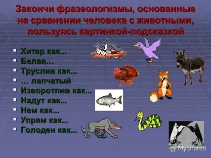 Переносное наименование животных и растений