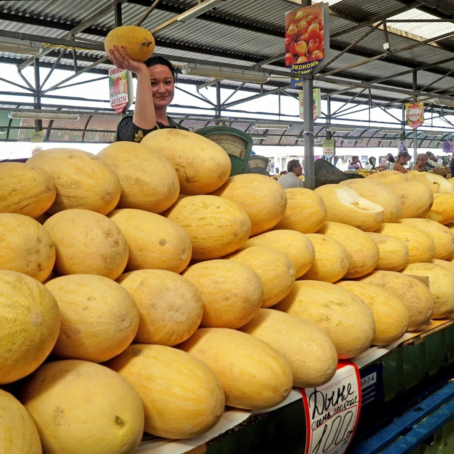 Японская дыня канталупа. Дыни сейчас. Дыня сорт оранж. Калахарская дыня. Сорта дыни.