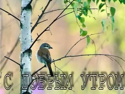 Обычное утро песня