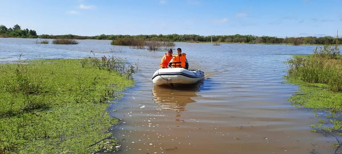 Пирин болгария. Национальный парк пирин животные. Река ресса калужская область. Озеро синдинское хабаровский край. Озеро пиру.