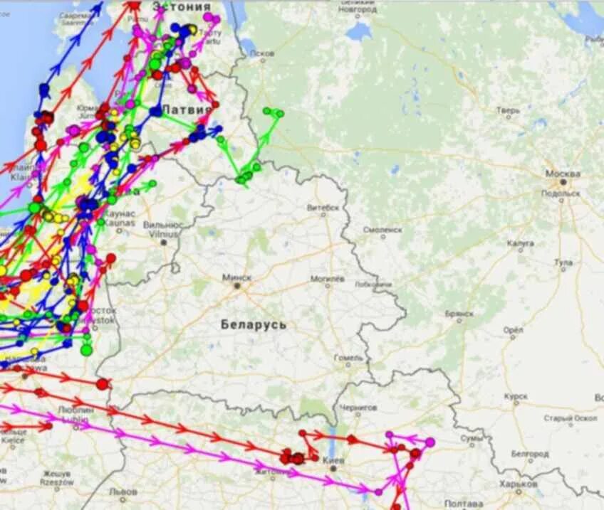 Карта пролета гуся. Карта пролета гуся