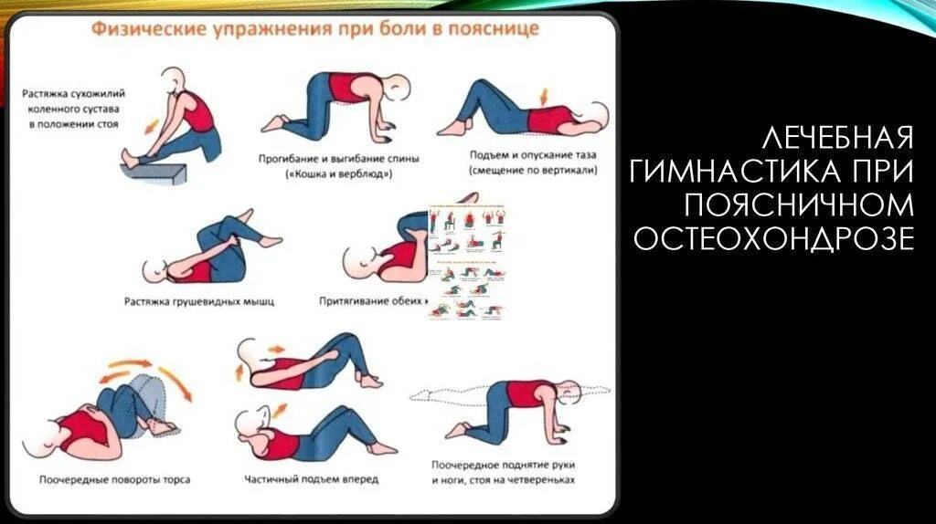 Простреливает поясницу. Гимнастика для спины при остеохондрозе грудного и поясничного отдела. Гимнастика для поясницы при остеохондрозе поясничного. При остеохондрозе позвоночника лечебная физкультура направлена. Упражнения при остеохондрозе поясничного отдела позвоночника.