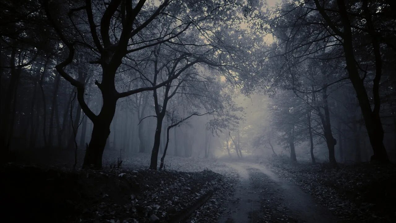 Horror ambient. Рельсы дорога туман. Horror ambient. Dark ambient 1000х1000. Horror ambient.