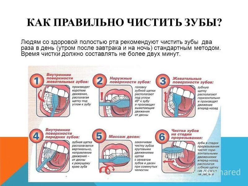 Зубы нужно чистить до или после завтрака. Как правильно чистить зубы. Как правильно чистить зубы до завтрака или после. Стандартный метод чистки зубов.