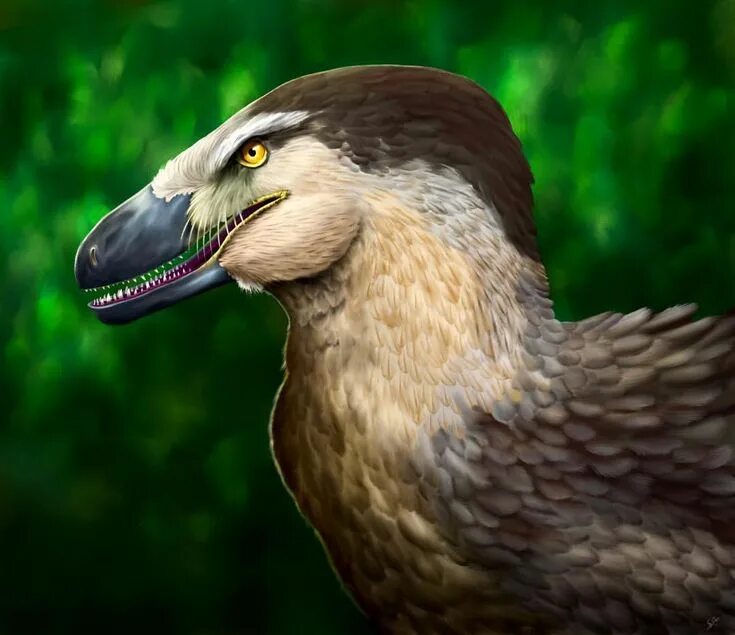 Saurian. Дакотараптор saurian. дакотараптор. dakotaraptor. дакотараптор арт.