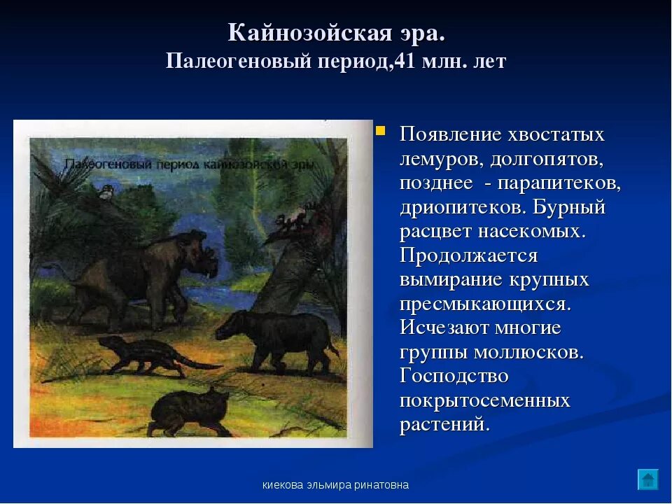 Появление кайнозойской эры. Эра Кайнозой период палеоген. Палеоген период растения. Растения кайнозойской эры периода палеогена. Кайнозой палеоген животные.