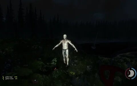 The forest теплый