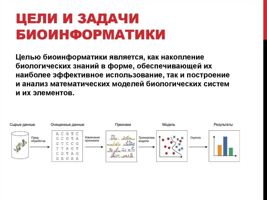 Биоинформатик работа. Основные задачи биоинформатики. биоинформатика презентация. биоинформатика цели. направления в биоинформатике.