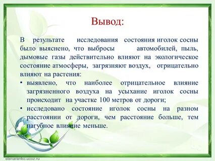 Вывод ели и сосны