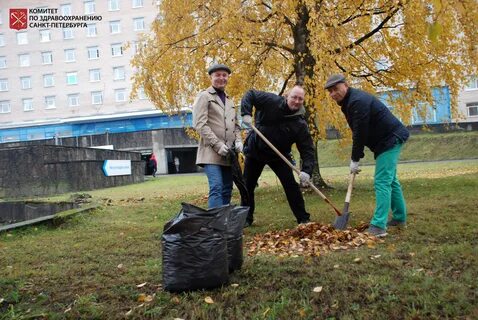 Уберите опавшую листву