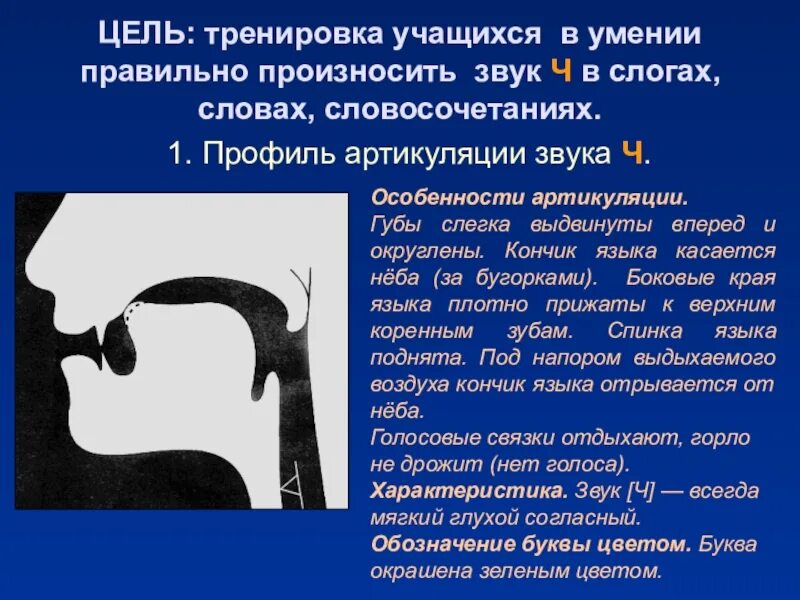 Цель занятий РРС И ФП В школе для глухих детей. Диалог в магазине для занятий по ФПСР И РРС 1 класс. Артикуляция д