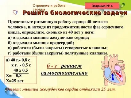 Задачи на работу сердца
