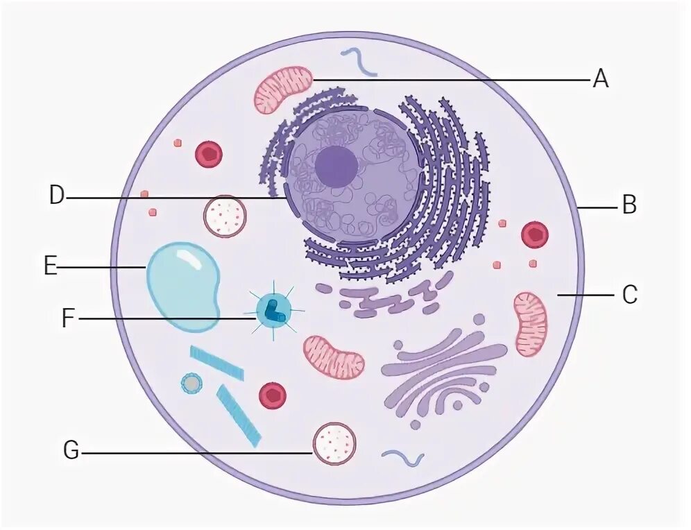 Different cells. Картины в клетку. sorter cells pic.