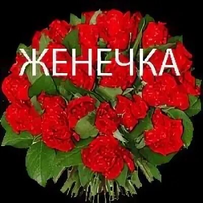 Женечка с днём рождения. Милая женечка с днем рождения. Женечка с днём рождения. Дорогому женечке. Женечка с днём рождения.