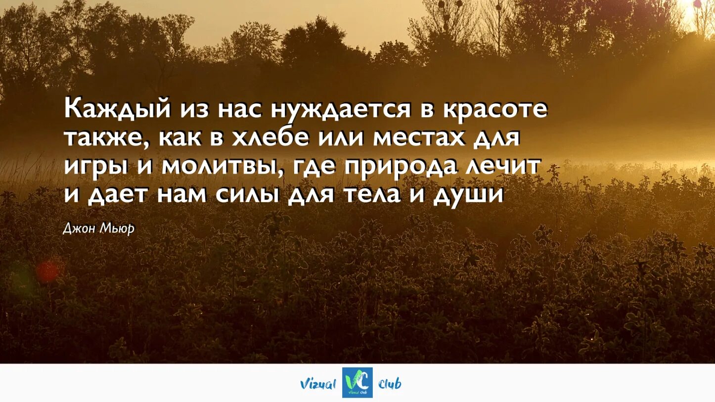 Душа нуждается