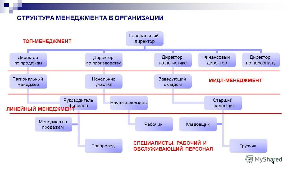 руководитель филиала интернет магазина. маклаков чебоксары. руководитель филиала продаж. руководитель филиала продаж. основные функции заместителя директора магазина.