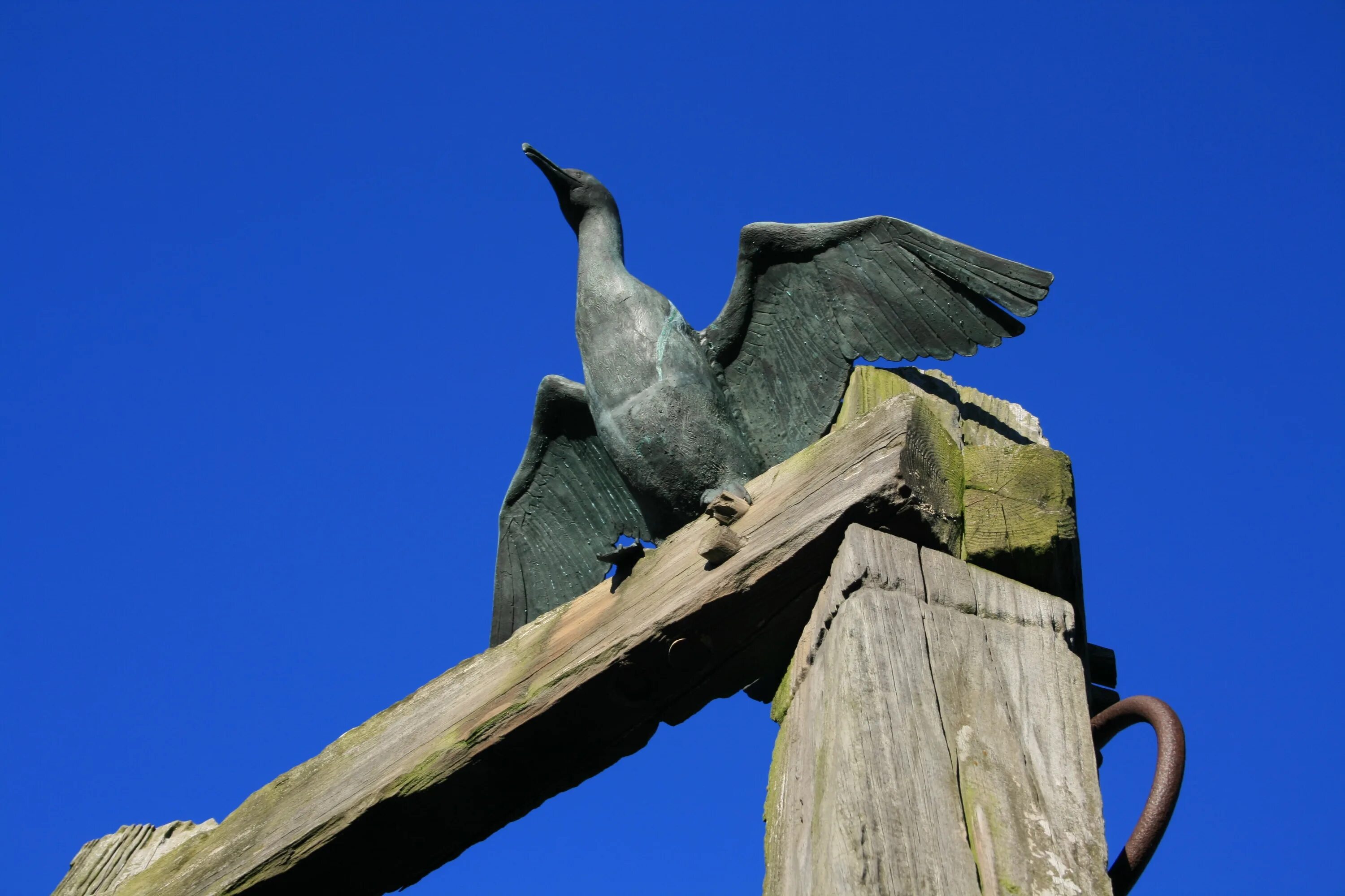Натур птица. Скульптура птицы. Статуя птицы. Деревянная скульптура птицы. Монумент с птицами.