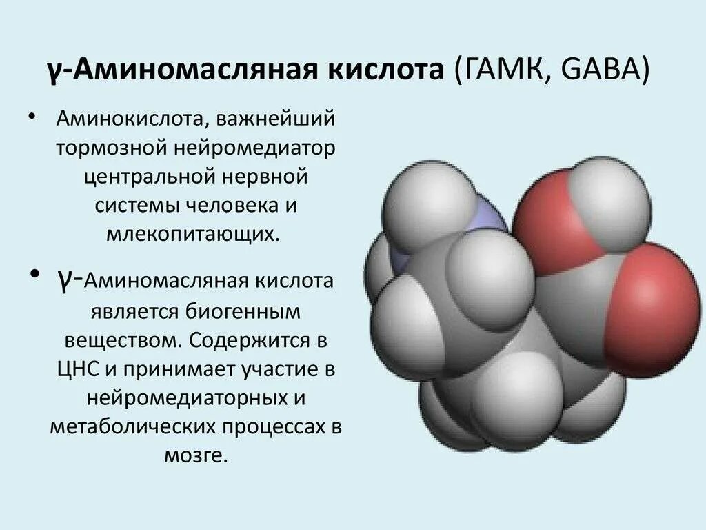 Альфа аминомасляная кислота. Функции гамма аминомасляной кислоты. Формула гамма аминомасляной кислоты. Гамма-аминомасляная кислота Синтез. ГАМК физиологическая роль.