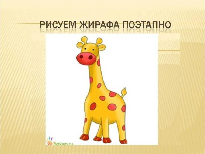 Жираф поэтапно для детей. Рисование жирафа в старшей группе. Урок Жираф изо. Этапы рисования жирафа для детей старшей группы. Схема рисования жирафа в средней группе.