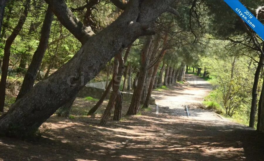 Солнечная тропа гаспра. Царская тропа ливадия. Ореанда царская тропа. Царская тропа в крыму. Царская солнечная тропа ялта.