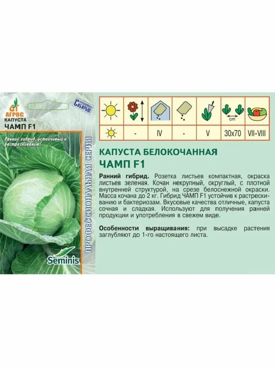 Как выглядит ранняя капуста. Капуста б/к чамп f1. капуста б/к вестри f1 15шт/10. ранняя капуста сорта чамп. капуста чамп белокочанная ранняя.