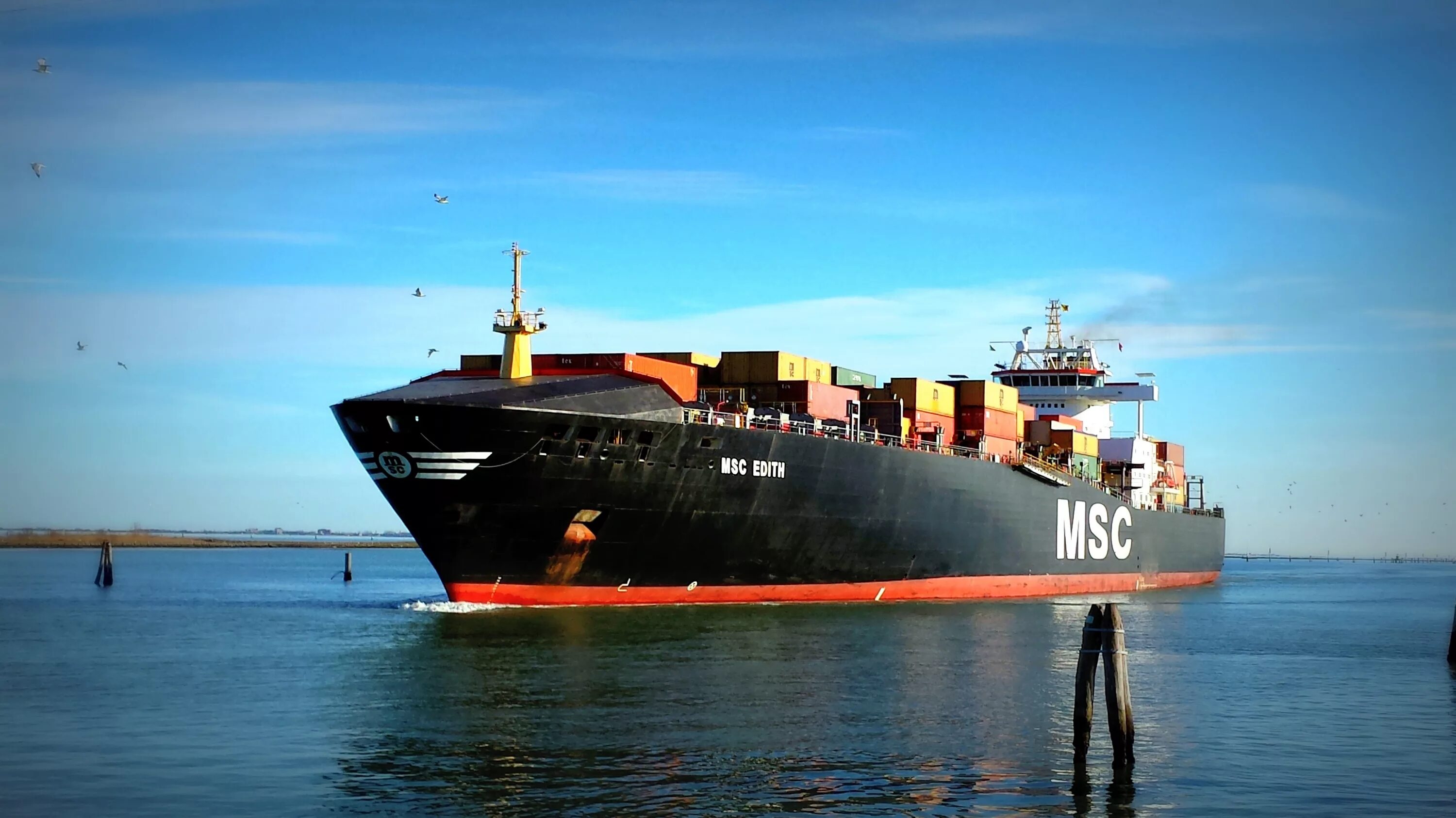 Морской торговый флот по странам. Nikolaev балкер контейнеровоз. Корабль MSC грузовой. Современные торговые корабли.