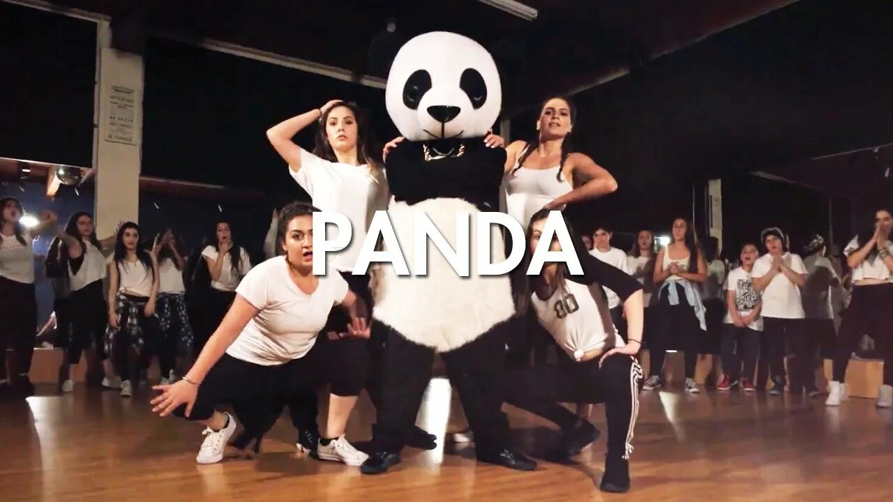 Панда танцует видео