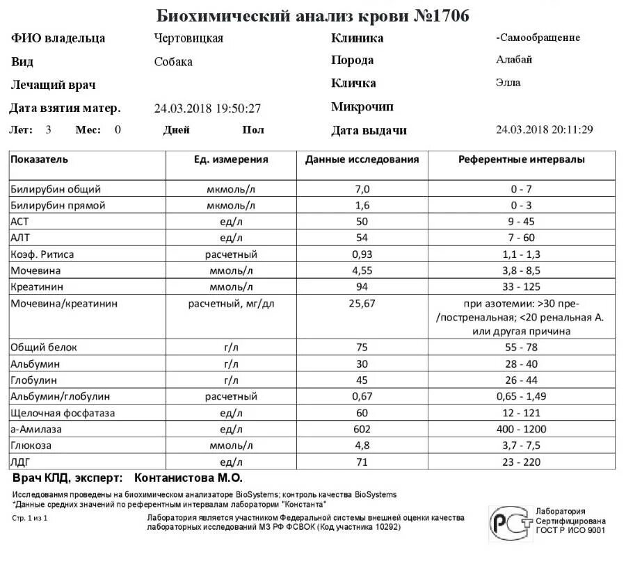 ферритин в биохимическом анализе. ферритин анализ крови. заключение анализа крови. ферритин в биохимическом анализе. биохимический анализ крови ферритин норма.