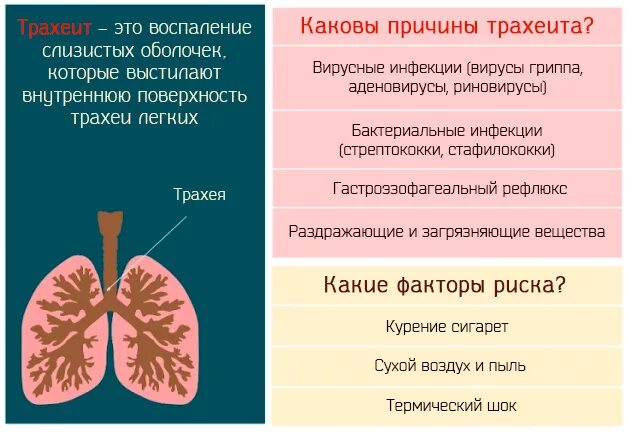 Мокрота после еды причины. Хронический трахеит симптомы.