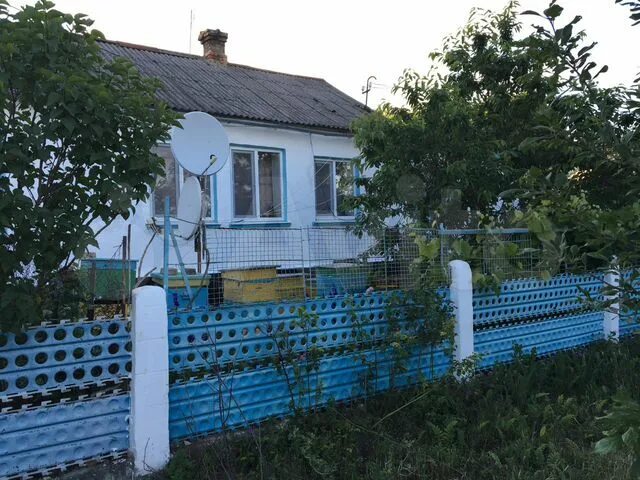 Село бабенково крым. Огород в крыму. Бабенково крым озеро. Абрикосовка крым. Бабенково крым элеватор.