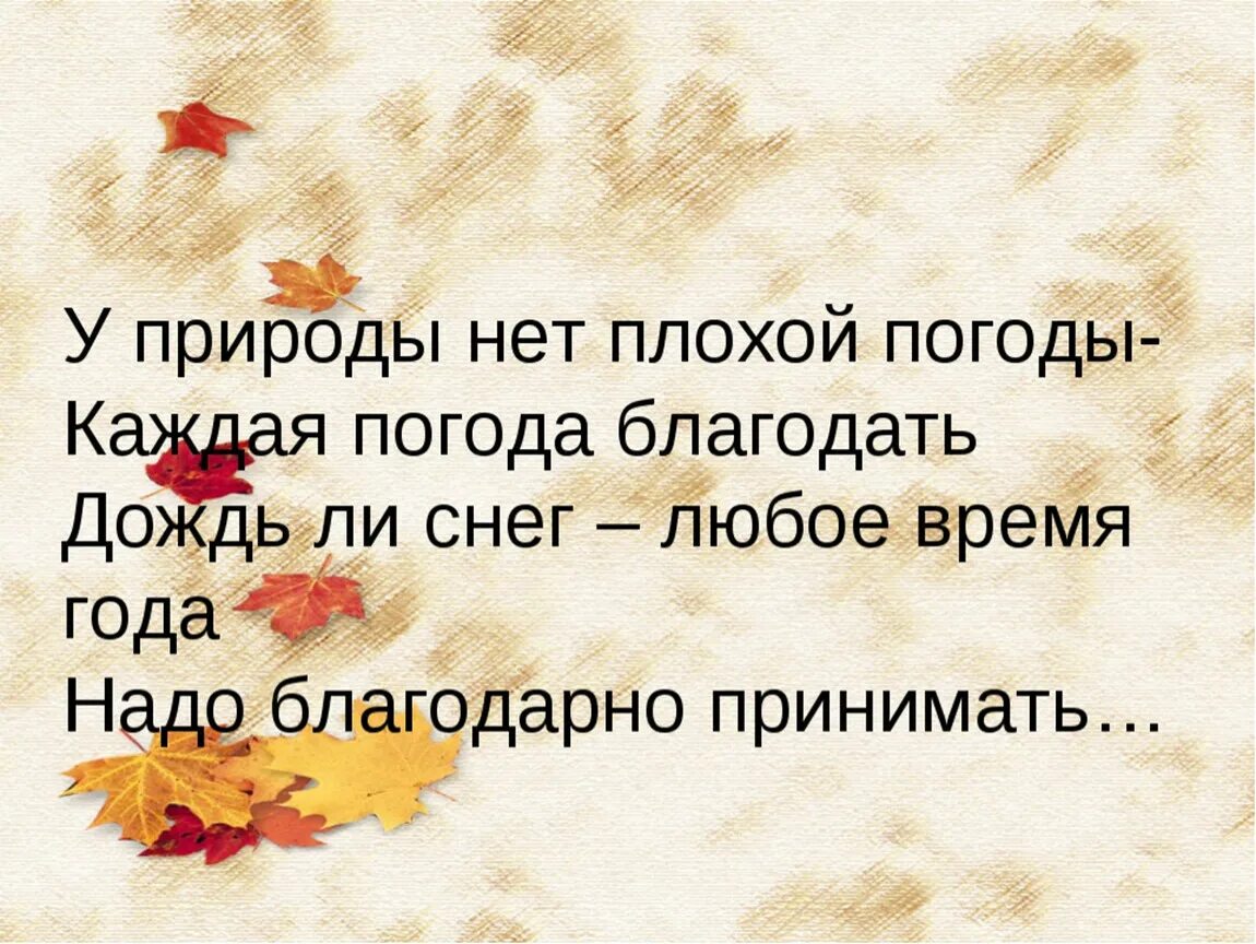 Сегодня в любое время. У природымнет АЛОХОЙ погоды. У природы нет хлохой породы. У природы нет плохой погоды. Стих у природы нет плохой погоды.