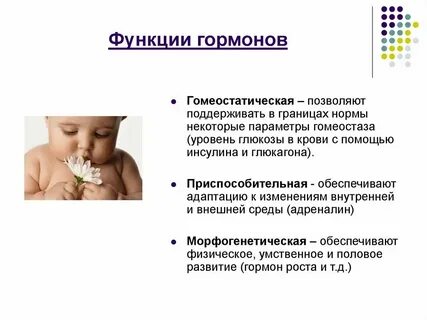 Какова роль гормонов в жизнедеятельности организмов биология