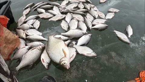Ловлю окончание