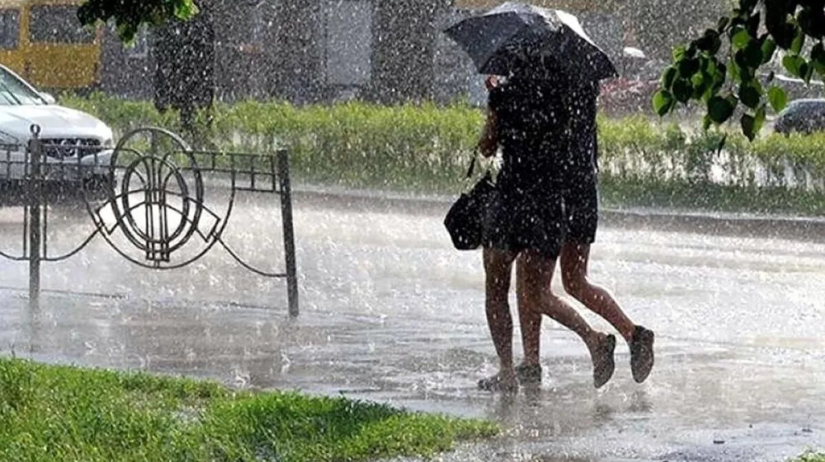 дождь и ветер. осадков и сильного ветра. грозовой фронт перед торнадо. сильный дождь. сильный дождь.